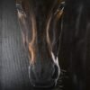 Beautifully Painted Horse Head, Vintage Animal Painting - Image 4